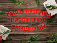 Таро гороскоп на 2019 год для Скорпионов