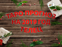 Таро гороскоп на 2019 год для Тельцов